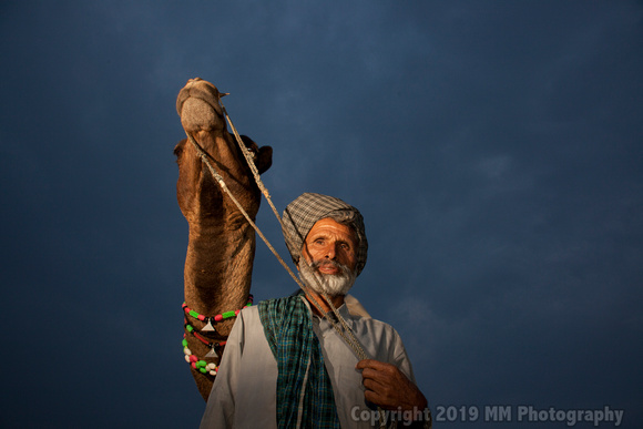 A Man and His Camel, color