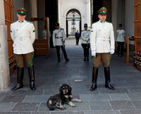 Guards and Guard Dog