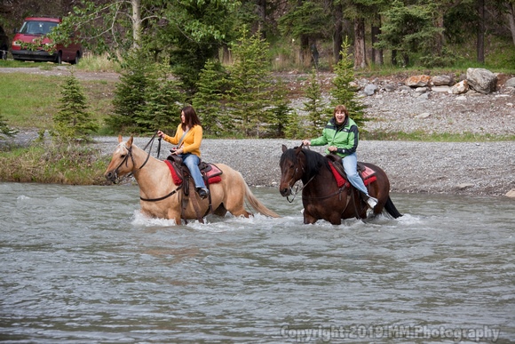 Riding Horses Banff