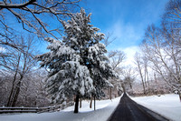 Winter Scene Near McConnel's Mill