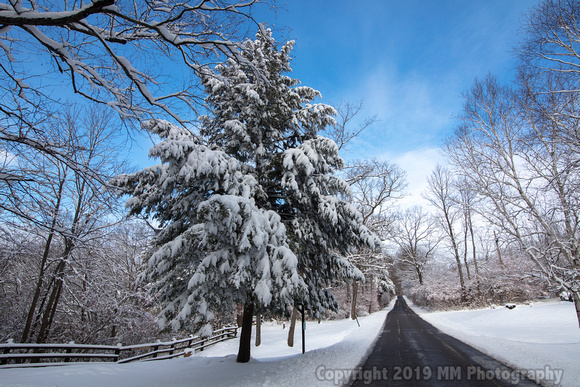 Winter Scene Near McConnel's Mill