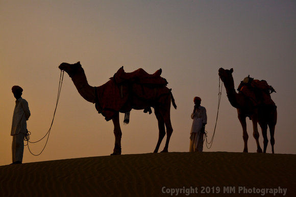 Caravan in the Thar Desert