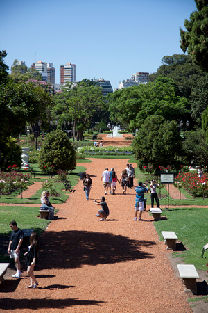Rose Garden in Buenos Aires