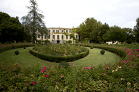 Vinyard in Provence